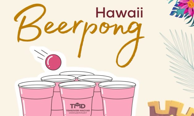 HAWAII BEER PONG – Aloha Edition