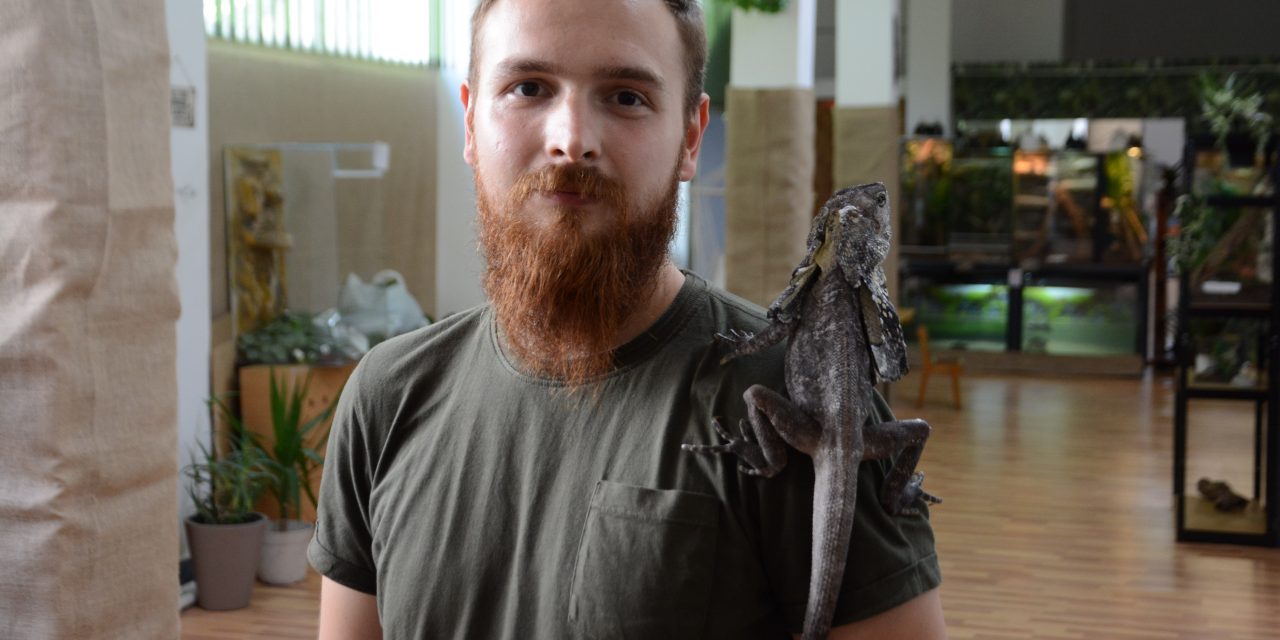 Megnyílt Nyugat-Románia első hüllőkiállítása