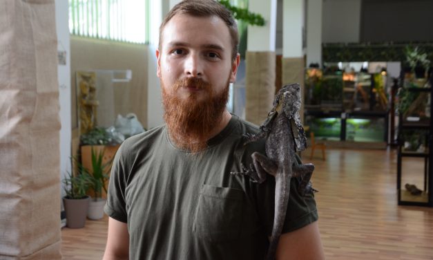 Megnyílt Nyugat-Románia első hüllőkiállítása