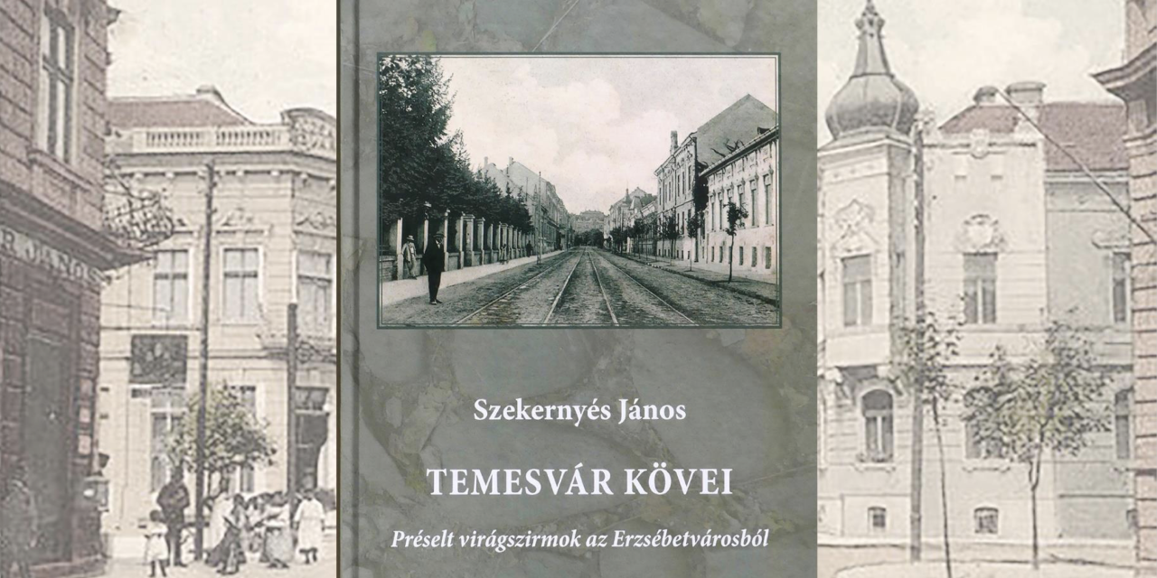 Temesvár kövei 805.