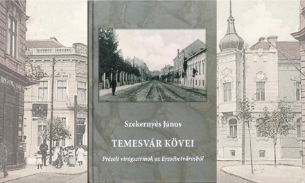 Temesvár kövei 805.