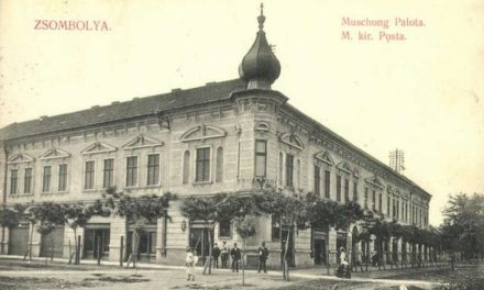 Muschong Jakab: Téglagyári birodalom a Bánságban II.
