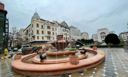 Közvitán a temesvári multikulturalitási stratégia